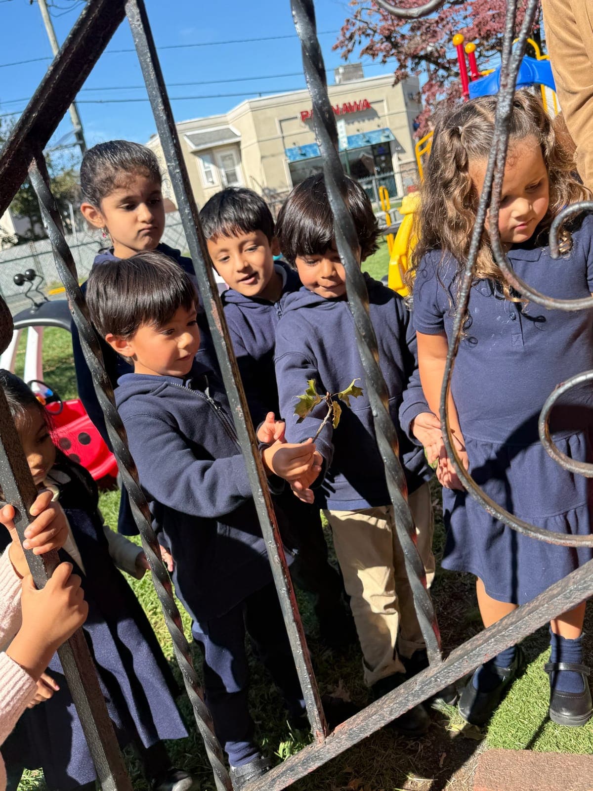 Additional photo from ““Halloween Kittens” Surprise Montessori Students.”